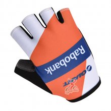2014 Rabobank Guanto Ciclismo