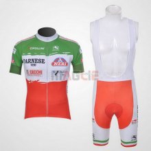 Maglia Giordana manica corta 2011 verde e rosso