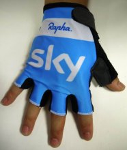 2015 Sky Guanto Ciclismo Blu