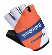 2014 Guanto Ciclismo arancione e blu