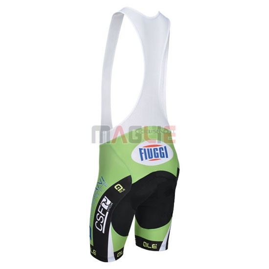 Maglia Bardiani manica corta 2014 bianco e verde