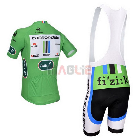 Maglia Cannondale manica corta 2013 verde e bianco