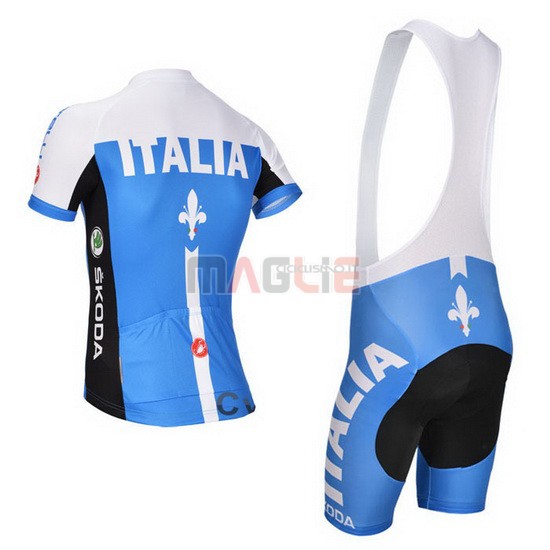 Maglia Castelli manica corta 2014 blu e bianco