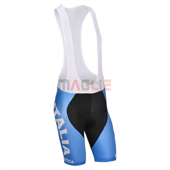 Maglia Castelli manica corta 2014 blu e bianco