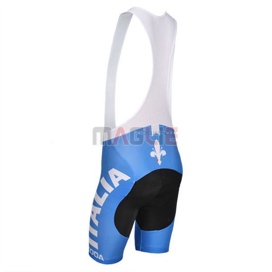 Maglia Castelli manica corta 2014 blu e bianco