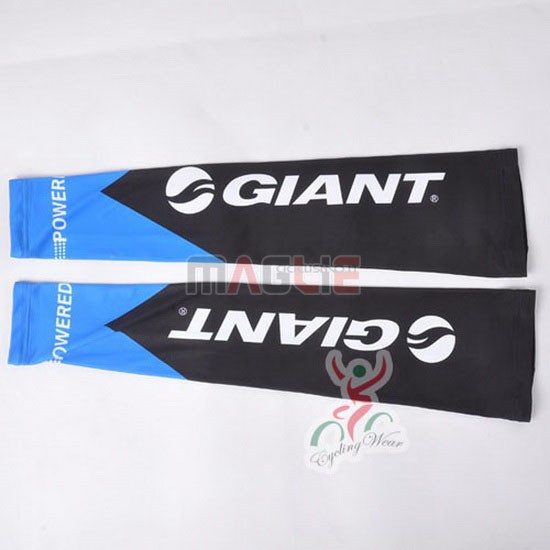 2011 Giant Gambali Ciclismo