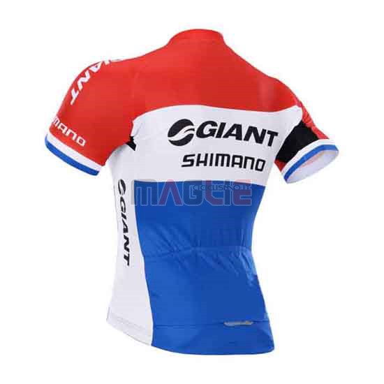 Maglia Giant manica corta 2015