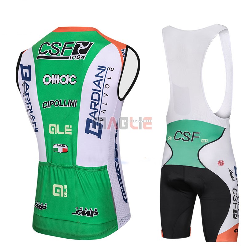 Gilet Antivento Bardiani Csf 2018 Verde