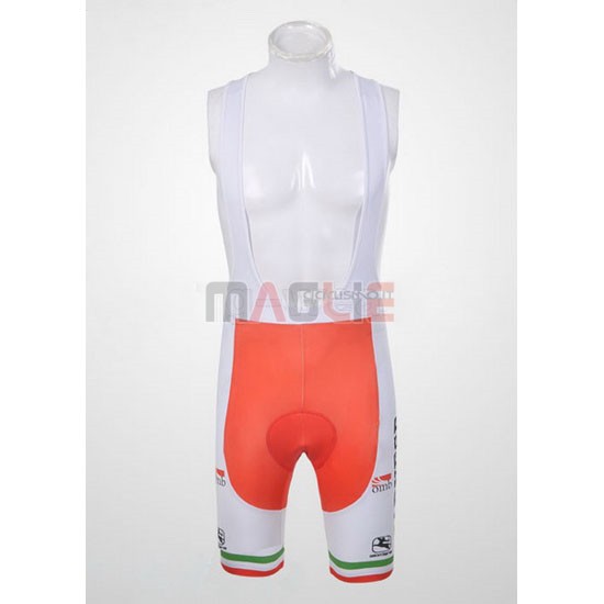 Maglia Giordana manica corta 2011 verde e rosso