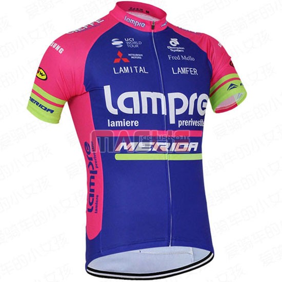 Maglia Lampre manica corta 2016 fuxia e blu