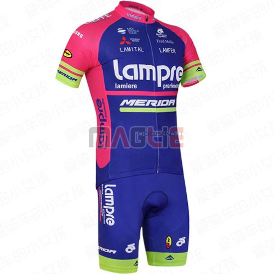 Maglia Lampre manica corta 2016 fuxia e blu