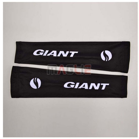 2014 Giant Scalda Manicotti Ciclismo