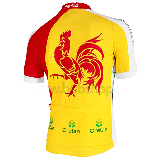 Maglia Wallonie Bruxelles 2013 giallo e rosso